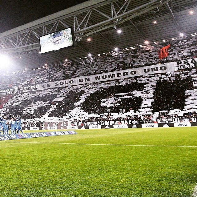 12445776_1069835626396293_1653089756_n